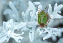 Jak usunąć smród z klimatyzacji? Jak usunąć smród z klimatyzacji?
