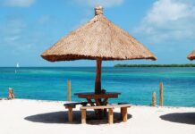 Czy wymieniać uszczelniacz wału korbowego przy wymianie sprzęgła? Czy wymieniać uszczelniacz wału korbowego przy wymianie sprzęgła?