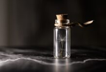 Jak zrobić sadzonki cukinii? Jak zrobić sadzonki cukinii?