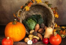 Czy dynia to jest owoc? Czy dynia to jest owoc?