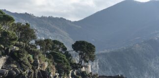 Ile kosztuje wymiana wybieraka skrzyni biegów?