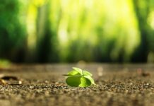 Jak znaleźć towar w magazynie IKEA? Jak znaleźć towar w magazynie IKEA?