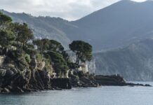 Ile kosztuje ściągnięcie skrzyni biegów? Ile kosztuje ściągnięcie skrzyni biegów?